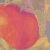 Полотенце "Cider", 35 см x 50 см тем самым придавая эксклюзивность изделиям инфо 7786v.